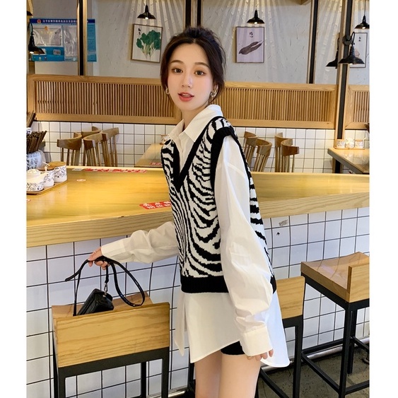 Áo len không tay họa tiết ngựa vằn thời trang Hàn Quốc | BigBuy360 - bigbuy360.vn
