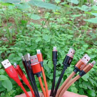 CÁP SẠC IP-CÁP DÙ 1M