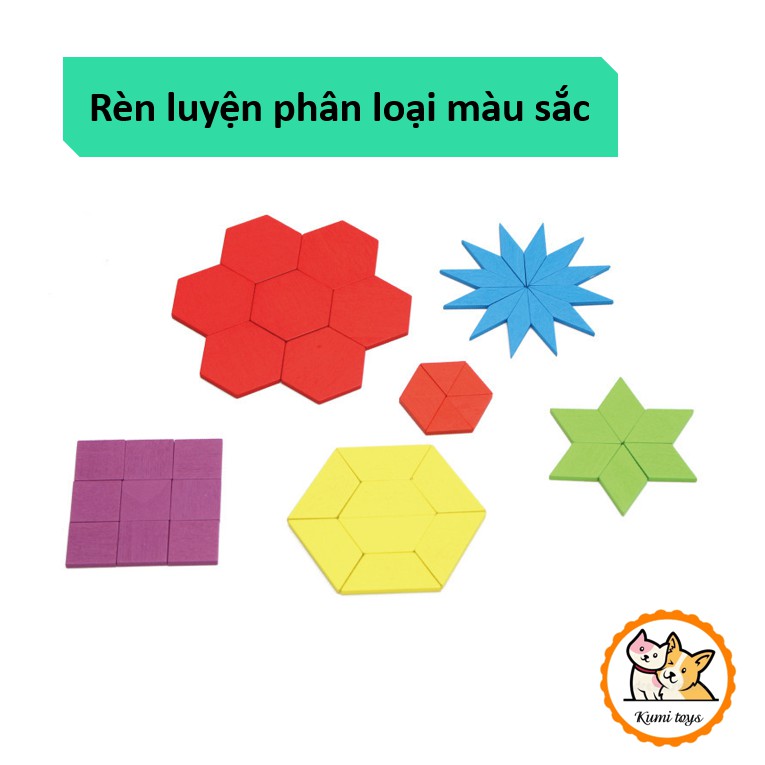 Đồ chơi gỗ ghép hình MONTESSORI cấp độ khó