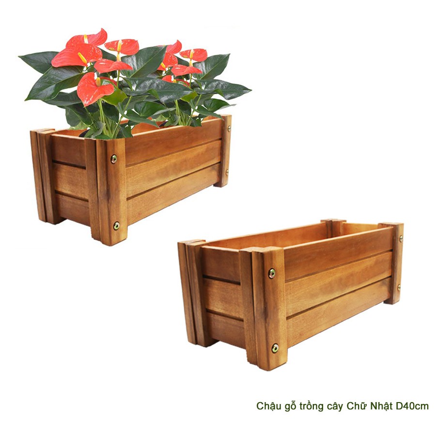 Bộ 2 Chậu gỗ trồng cây, chữ nhật, D40xR16xC16cm, gỗ Tràm chịu nước, tặng 1 hộp dưỡng hoa tươi lâu |Greenhome
