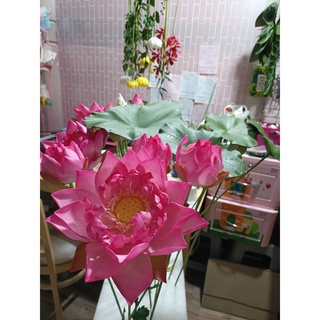 KHUÔN SEN BÁCH DIỆP(hoa size hoa thật)