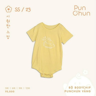 Punchun Bộ body chip SS2023D04