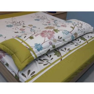 Gối đôi gối dài 50x160