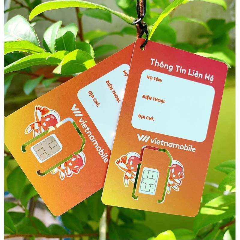 Sim số Vietnamobile Gói Cước Cảm Ơn