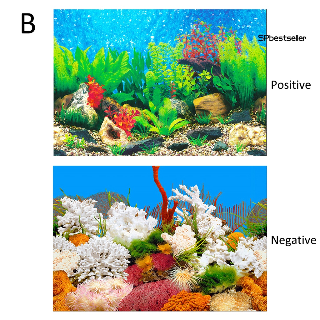 Miếng Dán Trang Trí Bể Cá Cảnh Độc Đáo