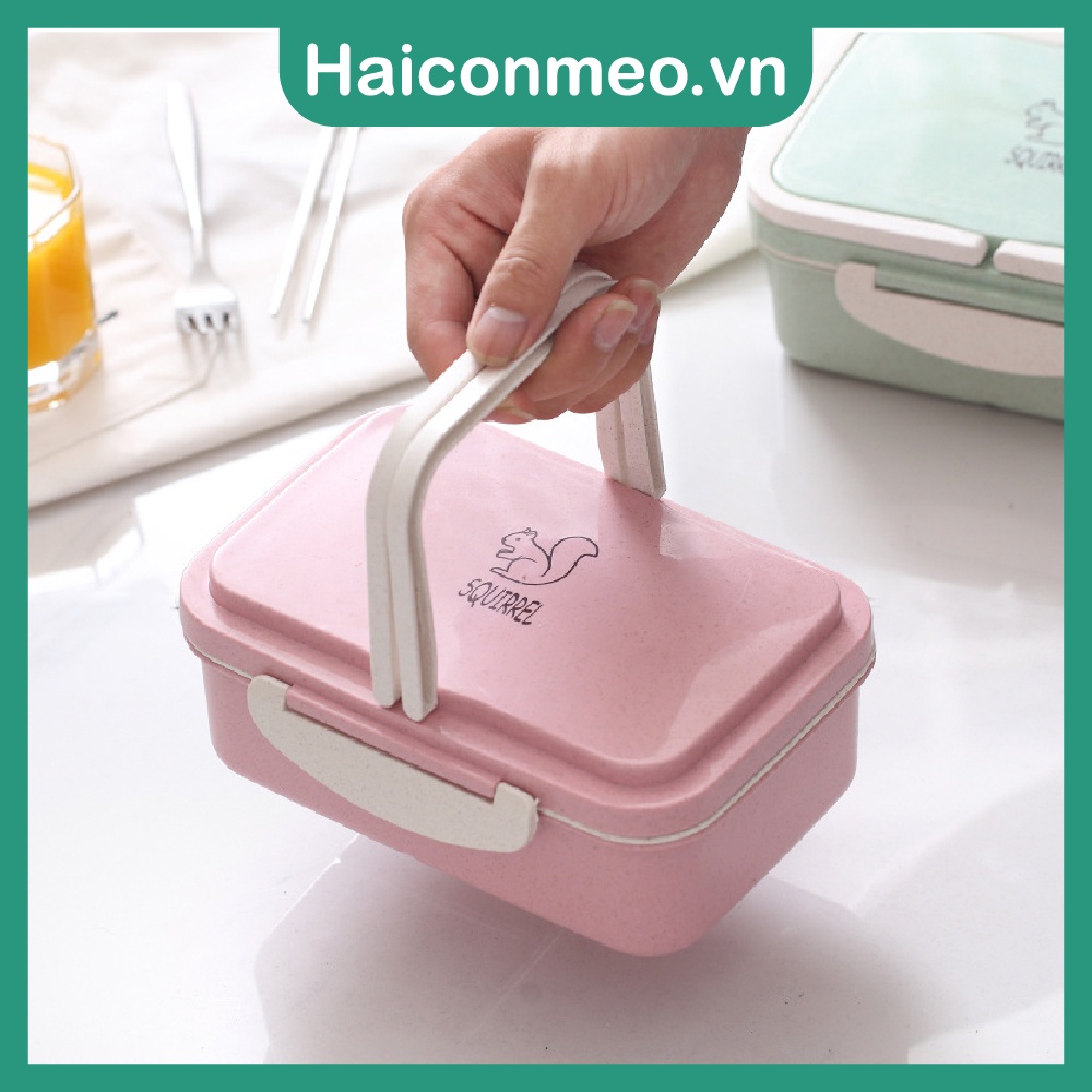 Hộp cơm lúa mạch văn phòng 2 tầng SQUIRREL thân thiện môi trường 800ml