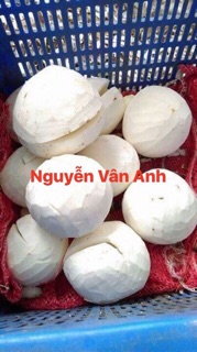 DẦU DỪA NGUYÊN CHẤT lọ 100ml