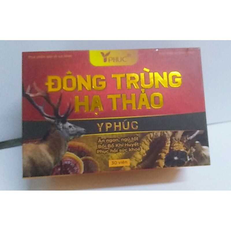 Viên uống  đông trùng hạ thảo  Y PHÚC- Giúp tăng sức đề kháng, ăn ngon ngủ tốt, bồi bổ khí huyết, phục hồi sức khoẻ | BigBuy360 - bigbuy360.vn