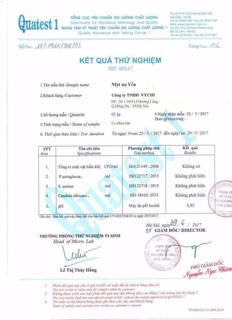 Mặt Nạ Yến Vychi