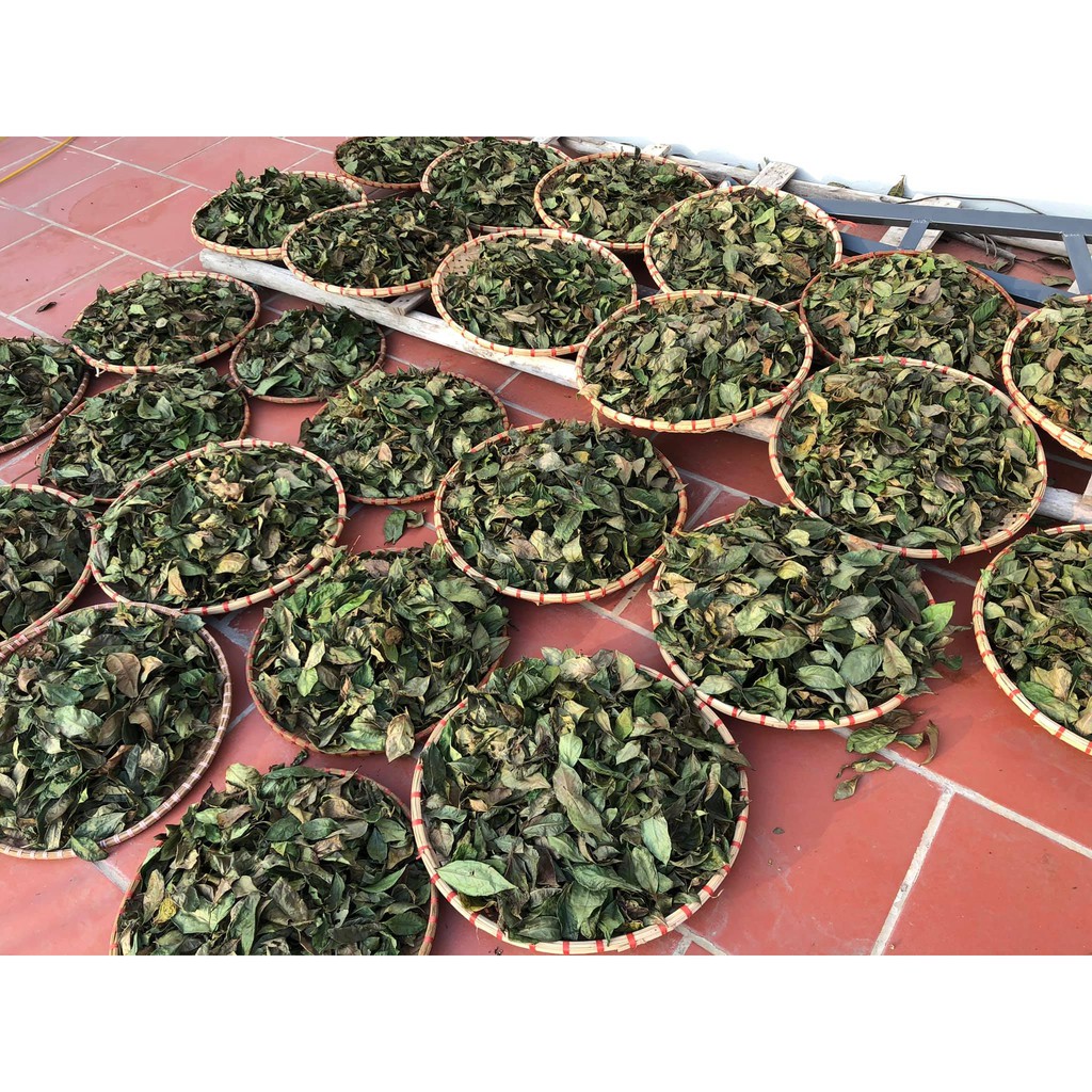 Dung dịch vệ sinh phụ nữ Lá Trầu Không 100% thiên nhiên- An toàn Mẹ Bầu