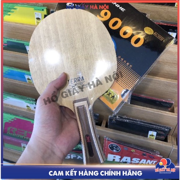 Cốt Vợt Bóng Bàn SANWEI TERRA CacBon