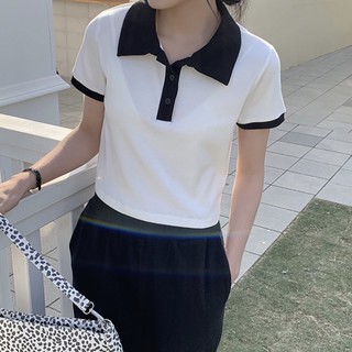 áo polo croptop cổ màu