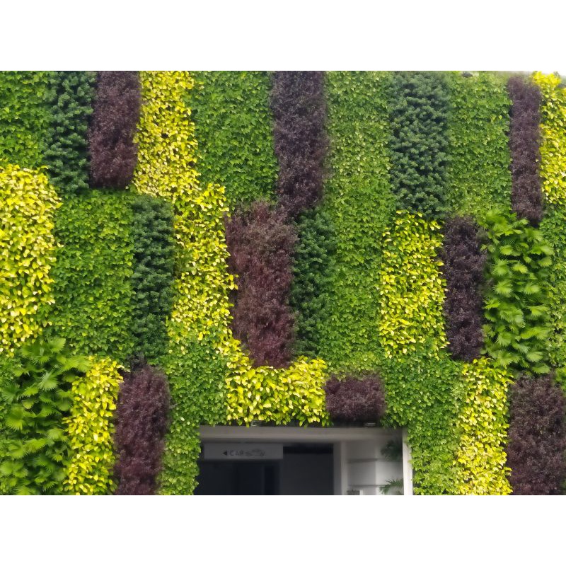 Chậu Nhựa Vườn trên tường, Vườn Đứng HOLO GREEN 16