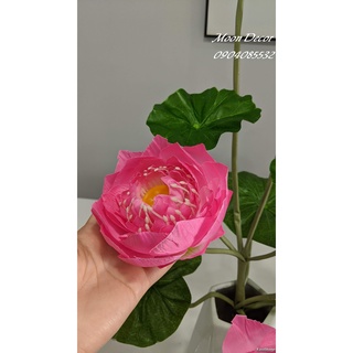 Chùm hoa sen lụa cao cấp 9 nhánh(hàng loại 1)