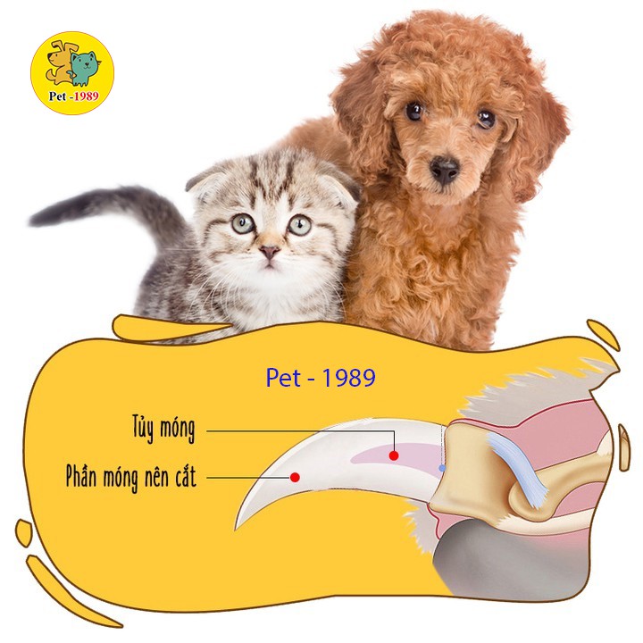 Bộ Kìm Bấm Cắt + Dũa Móng Cho Chó Mèo Pet-1989