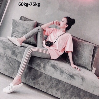 Sét bộ nữ thun cotton cao cấp ms0945