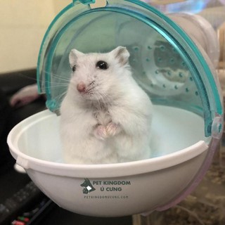 linh123 Lót chuồng hamster mùn nén túi 1kg