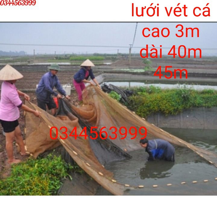 Lưới Vét Cá - Dài 40m, 45m Cao 3m