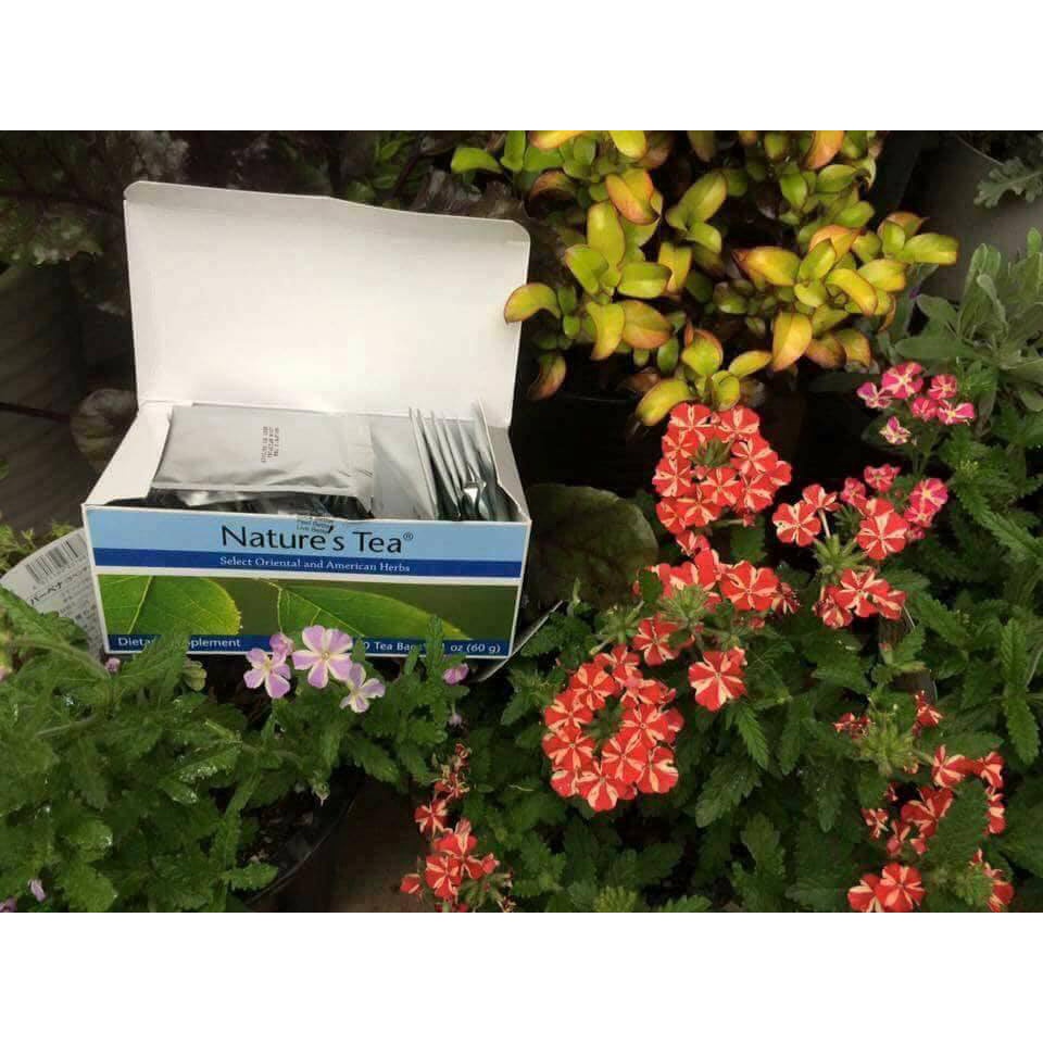 Trà Thải Độc Ruột Nature' s Tea (Túi Lọc)