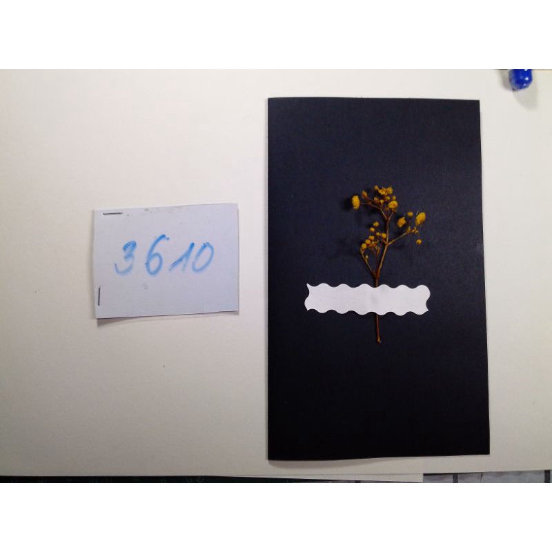 3610 thiệp handmade gắn hình