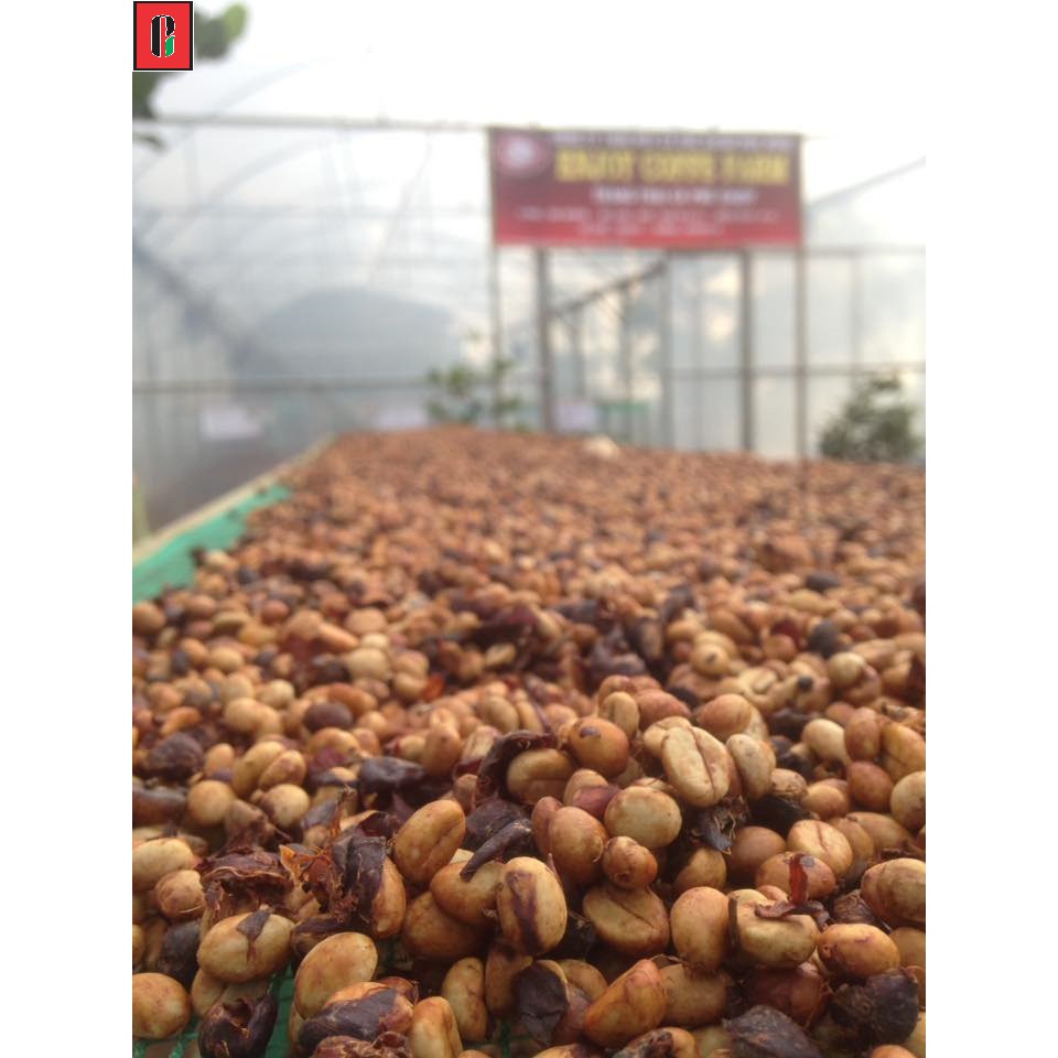 Cà phê nguyên chất rang mộc robusta honey enjoy coffee 500g - sạch từ nông trại | BigBuy360 - bigbuy360.vn