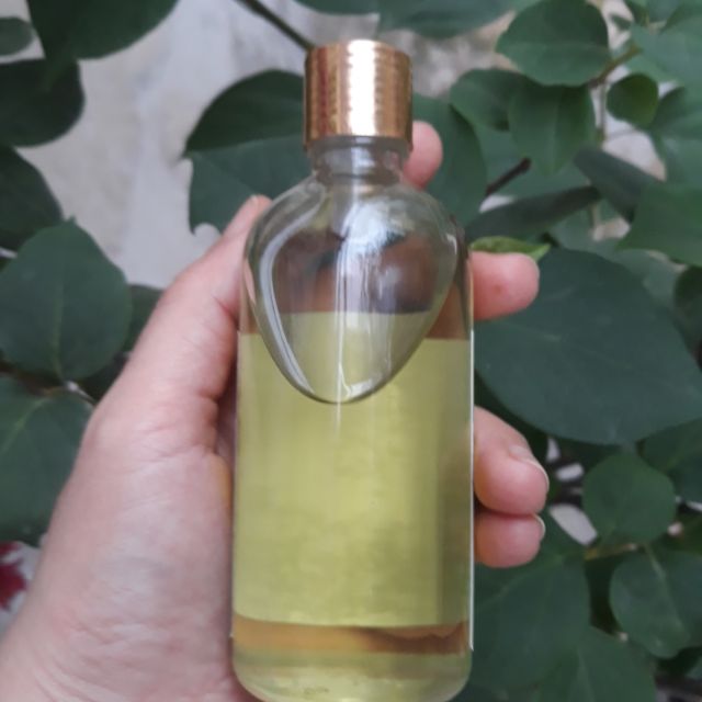 Tinh dầu tràm nguyên chất 100ml