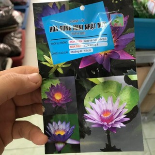 Hạt giống hoa súng mini Nhật