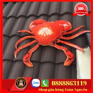 GẤU BÔNG IN HÌNH CON TÔM 3D SIZE 70-1M