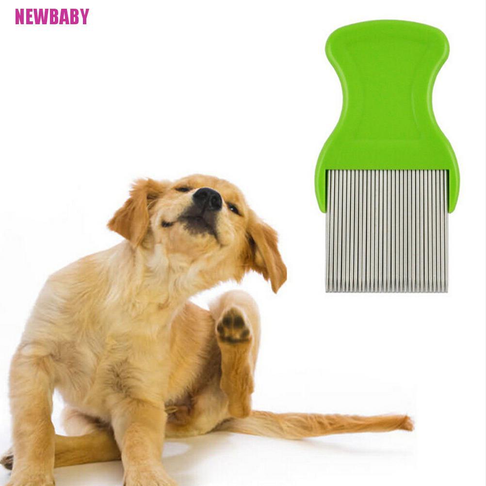 Lược Chải Tóc Anoplura Flea Bằng Thép Không Gỉ Cho Trẻ Em