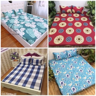 Sét 3 món ga gối cotton poly giá siêu rẻ
