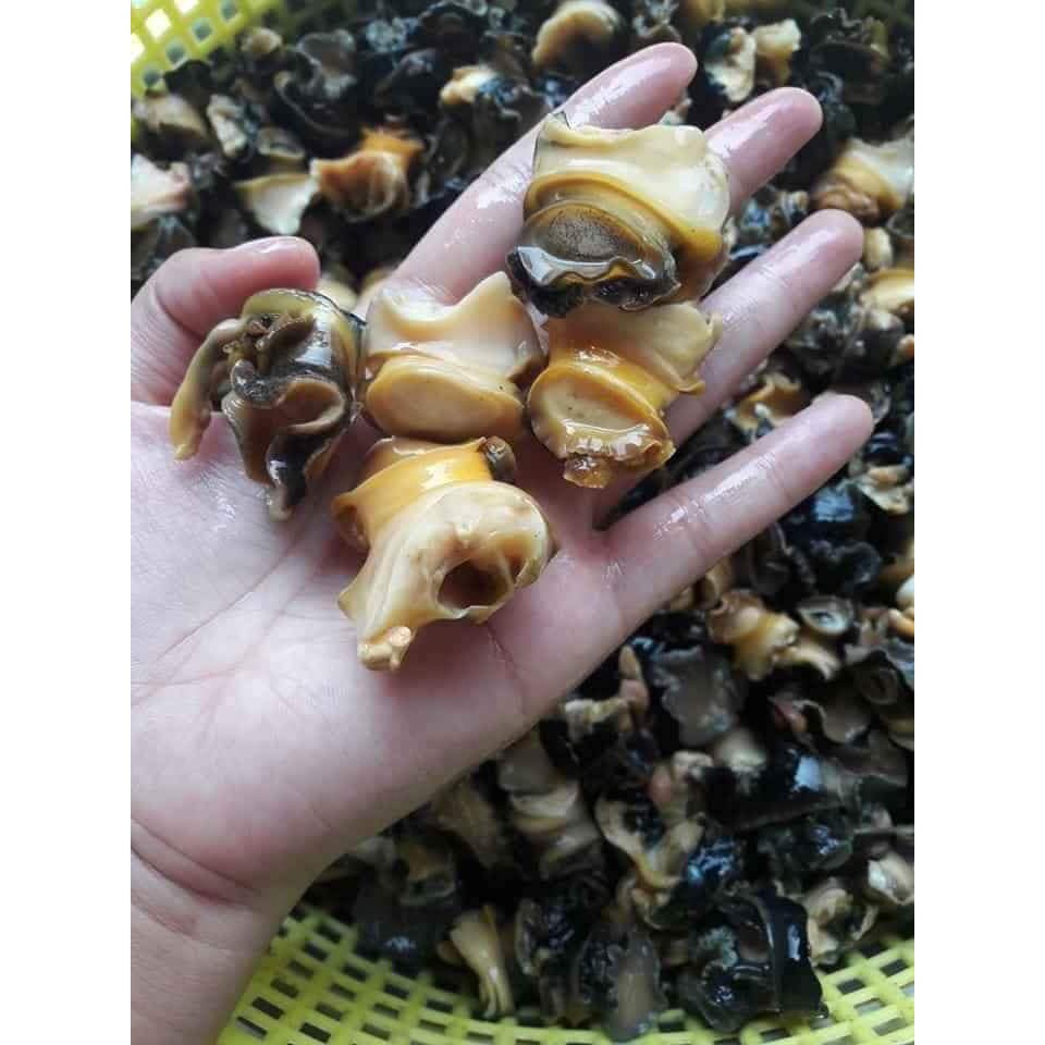 Ốc bươu vàng 500g