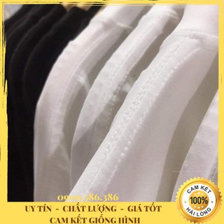 Áo Thun Cotton 100%