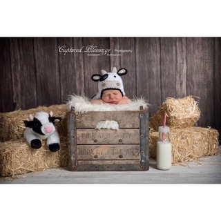 Set bò sữa len newborn phụ kiện chụp ảnh