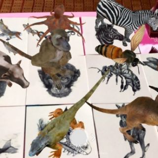 Bộ thẻ học animal 4D+ gồm 40 thẻ