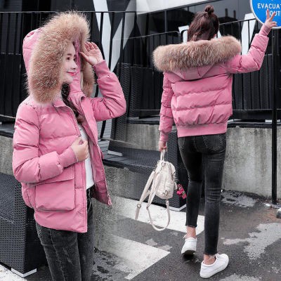 Áo Phao Nữ Mũ Lông Dáng Ngắn - Hàng Đẹp Quảng Châu | BigBuy360 - bigbuy360.vn