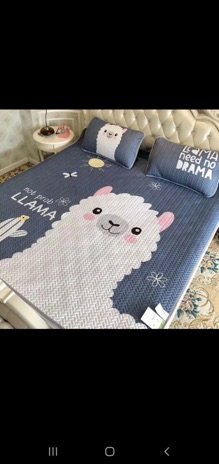 Chiếu điều hoà tencel mát lạnh ( đủ size m6, m8)