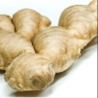 500 gr củ gừng