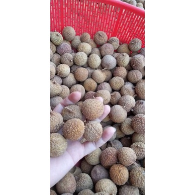 1kg vải sấy khô chính gốc bắc giang | BigBuy360 - bigbuy360.vn