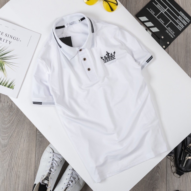 ÁO Thun Nam cổ Bẻ - Áo Cổ bẻ thêu lôgô vải cotton gai | BigBuy360 - bigbuy360.vn