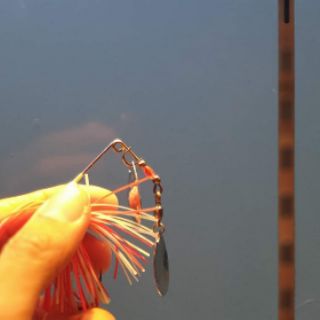 Spinner DRAVE 100K