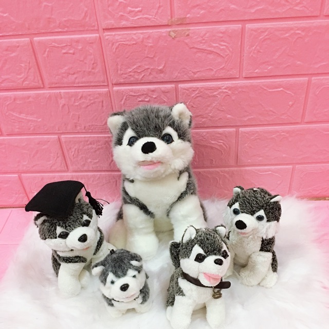 Gấu của chị thu thuỷ