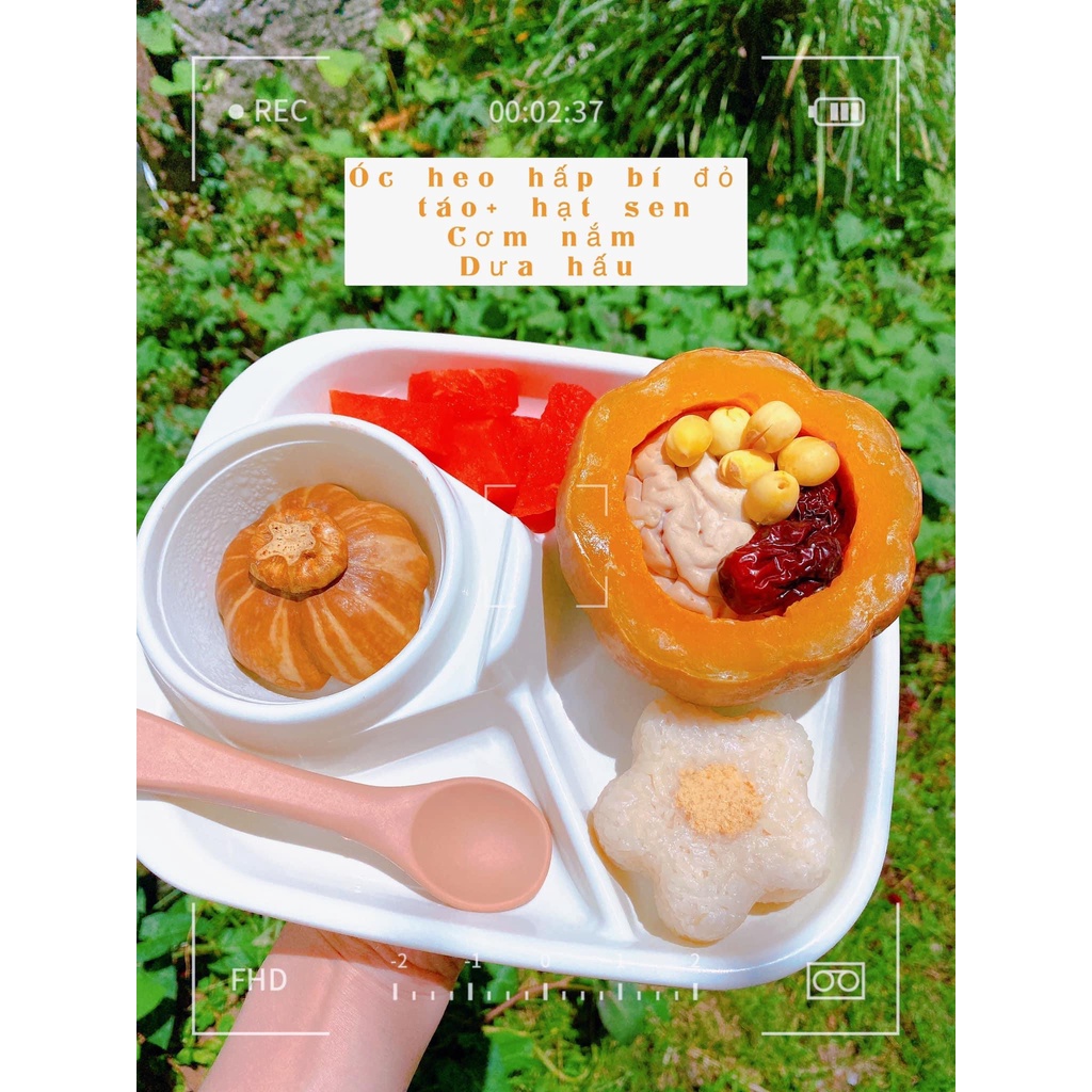 Khay ăn dặm tròn 4 ngăn cho bé ăn dặm kiểu nhật, ăn chỉ huy, để được cốc và nước