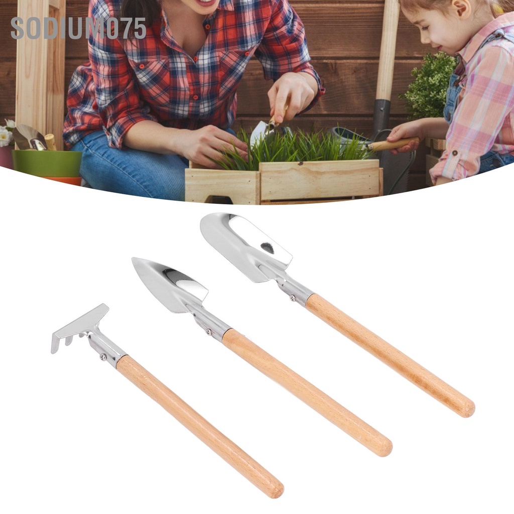 Có thể bán buôn Bộ xẻng làm vườn thuổng Máy cày cấy bằng thép không gỉ dụng cụ cỏ Hàng giao ngaySodium075