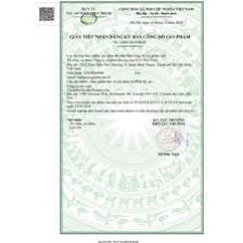 SUPER IQ ORGANIKA Viên uống tăng cường trí nhớ, bỗ não 60 viên