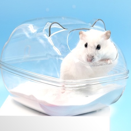 Cát tắm hamster loại thơm mịn 1kg