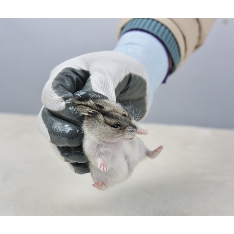 Găng tay bắt hamster