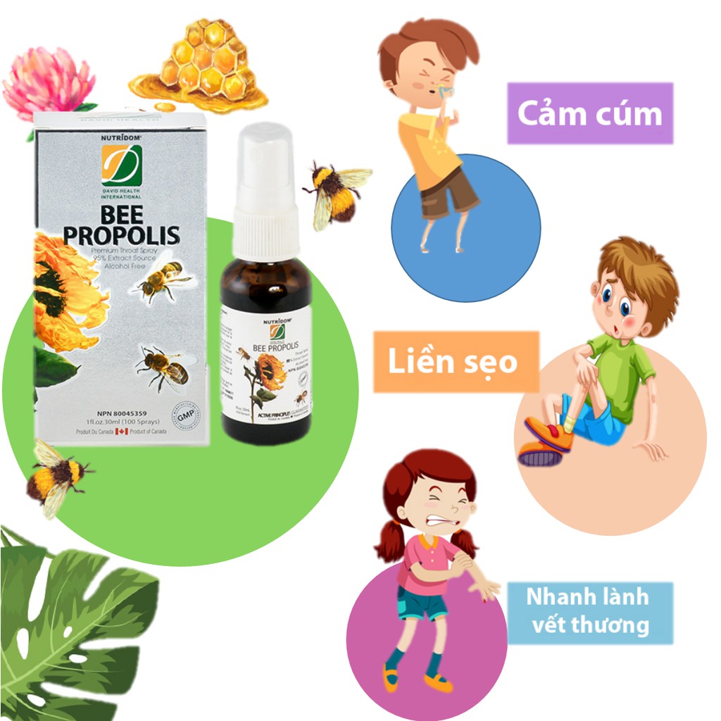 Bee Propolis - Keo ong xịt NutriDom giảm ho hiệu quả