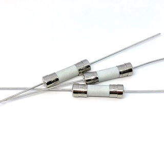 Cầu chì gốm, cầu chì lò vi sóng 6x30 15a
