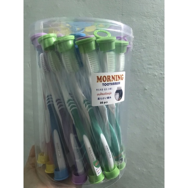Hộp 30 cây bàn chải đánh răng Morning hàng Việt Nam