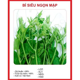 Hạt Giống Bí Siêu Ngọn Cao Sản (10gr)